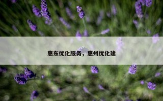 惠东优化服务，惠州优化建