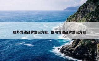 援外党建品牌建设方案，医院党建品牌建设方案