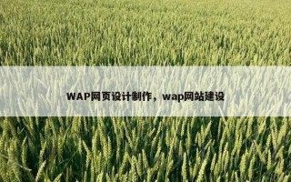 WAP网页设计制作，wap网站建设