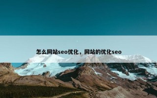 怎么网站seo优化，网站的优化seo