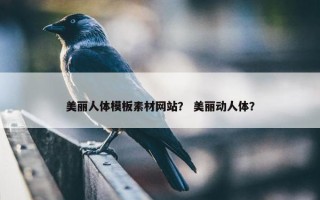 美丽人体模板素材网站？ 美丽动人体？