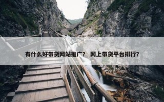 有什么好带货网站推广？ 网上带货平台排行？
