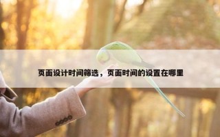 页面设计时间筛选，页面时间的设置在哪里