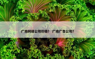 广南网络公司价格？ 广南广告公司？