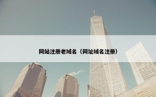 网站注册老域名（网址域名注册）