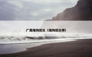广西搜狗优化（搜狗优化师）