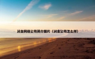 润金网络公司简介图片（润金公司怎么样）