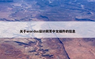 关于wordss设计网页中文插件的信息