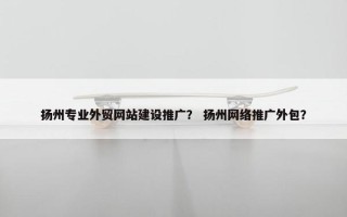 扬州专业外贸网站建设推广？ 扬州网络推广外包？