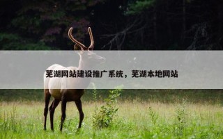 芜湖网站建设推广系统，芜湖本地网站