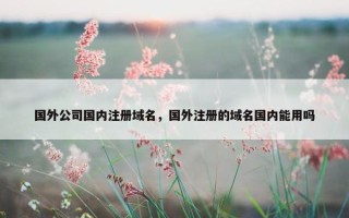 国外公司国内注册域名，国外注册的域名国内能用吗
