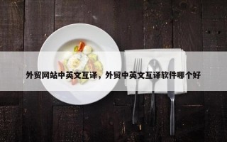 外贸网站中英文互译，外贸中英文互译软件哪个好