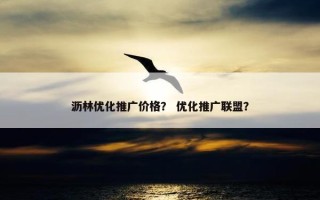 沥林优化推广价格？ 优化推广联盟？