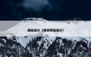 搜站设计（搜索网站设计）