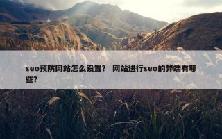 seo预防网站怎么设置？ 网站进行seo的弊端有哪些？