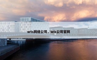 wts网络公司，wis公司官网