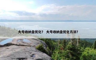 大号收纳盒优化？ 大号收纳盒优化方法？