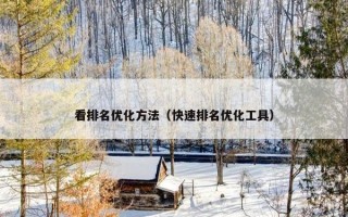 看排名优化方法（快速排名优化工具）