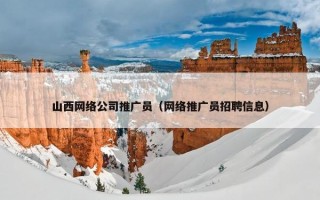 山西网络公司推广员（网络推广员招聘信息）