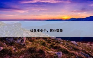 优化多少个，优化数量