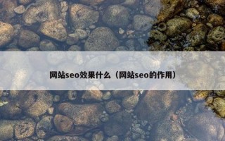 网站seo效果什么（网站seo的作用）
