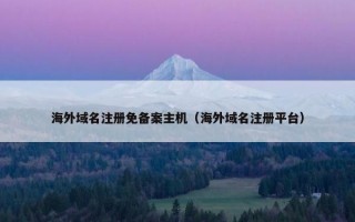 海外域名注册免备案主机（海外域名注册平台）