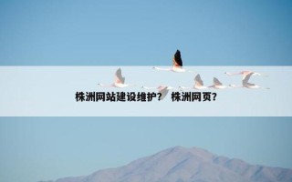 株洲网站建设维护？ 株洲网页？
