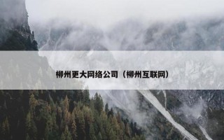 柳州更大网络公司（柳州互联网）