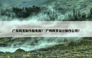 广东网页制作服务商？ 广州网页设计制作公司？