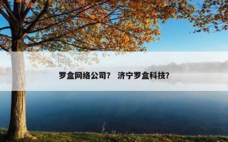 罗盒网络公司？ 济宁罗盒科技？