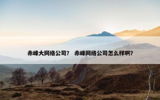 赤峰大网络公司？ 赤峰网络公司怎么样啊？