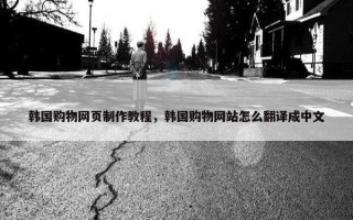 韩国购物网页制作教程，韩国购物网站怎么翻译成中文