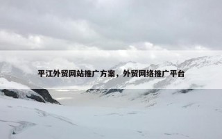 平江外贸网站推广方案，外贸网络推广平台