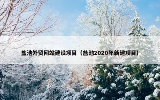 盐池外贸网站建设项目（盐池2020年新建项目）
