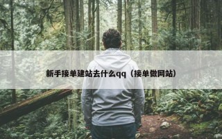 新手接单建站去什么qq（接单做网站）
