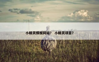 小精灵模板网站？ 小精灵项目？