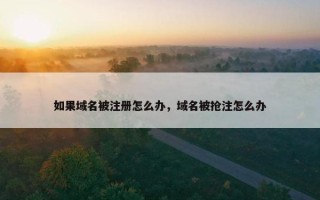 如果域名被注册怎么办，域名被抢注怎么办