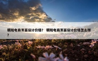 朝阳电商页面设计价格？ 朝阳电商页面设计价格怎么样？