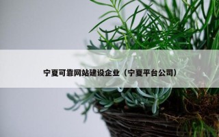 宁夏可靠网站建设企业（宁夏平台公司）