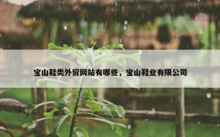 宝山鞋类外贸网站有哪些，宝山鞋业有限公司