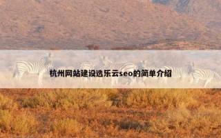 杭州网站建设选乐云seo的简单介绍