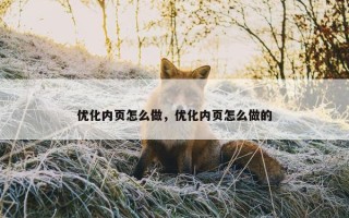 优化内页怎么做，优化内页怎么做的