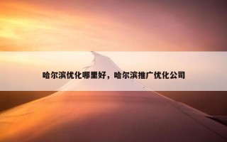 哈尔滨优化哪里好，哈尔滨推广优化公司