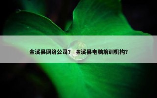 金溪县网络公司？ 金溪县电脑培训机构？