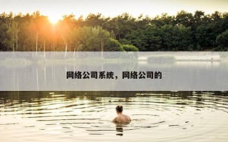 网络公司系统，网络公司的