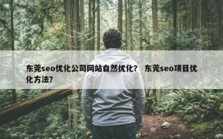 东莞seo优化公司网站自然优化？ 东莞seo项目优化方法？