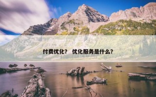 付费优化？ 优化服务是什么？