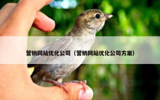营销网站优化公司（营销网站优化公司方案）