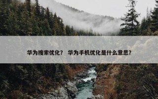 华为搜索优化？ 华为手机优化是什么意思？
