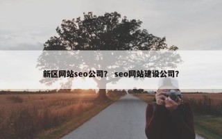 新区网站seo公司？ seo网站建设公司？